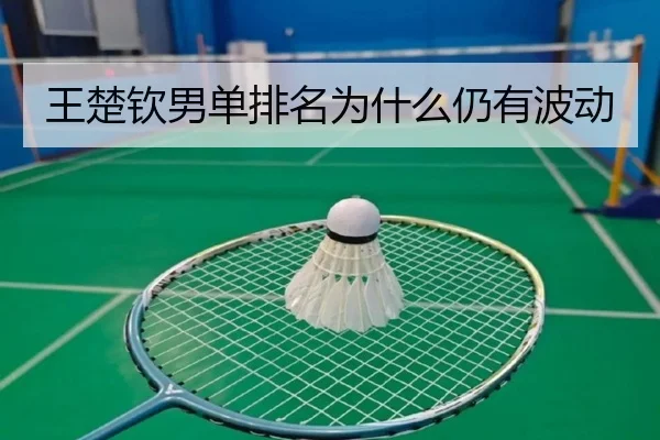 王楚钦男单排名为什么仍有波动